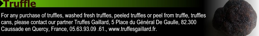 Purchase truffle